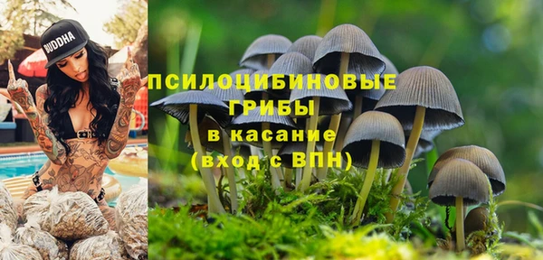 мяу мяу кристалл Баксан